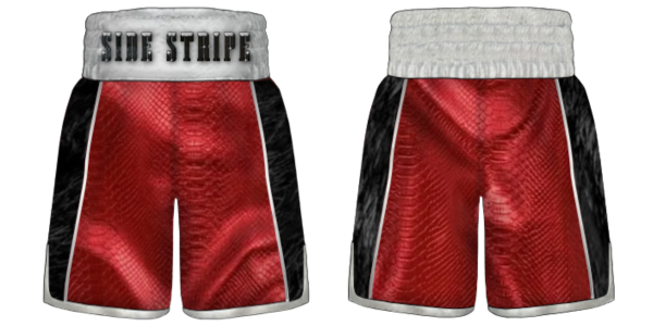 Side Stripe BX New | Custom Boxing Shorts & Trunks | Boxxerworld