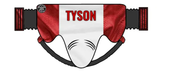 Boxxerworld Groin Guard (Tyson)