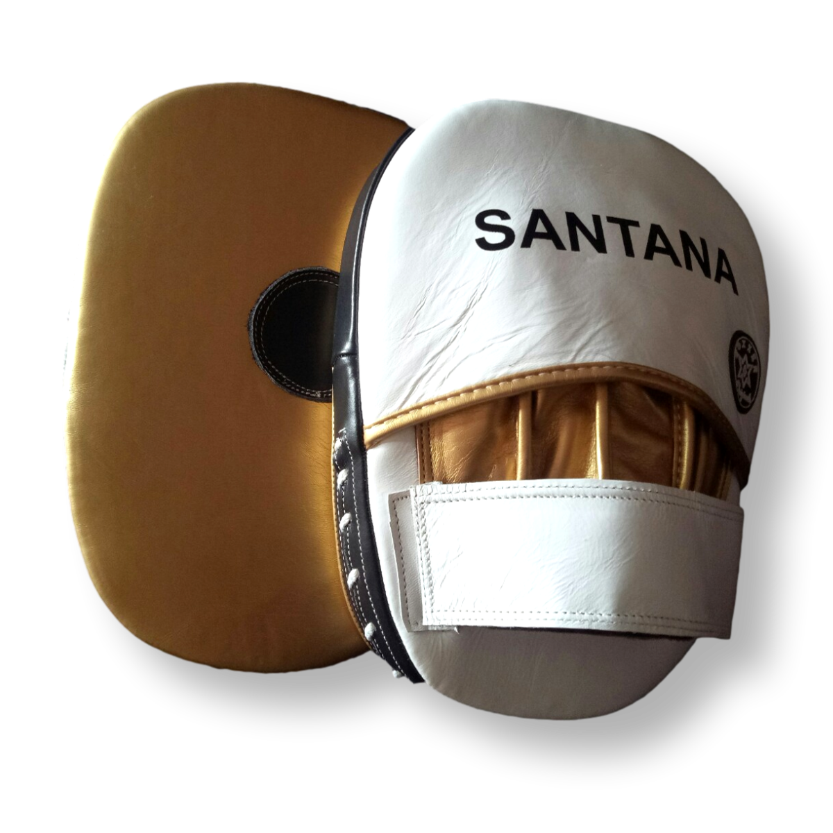 Focus Pad Sonia Pads