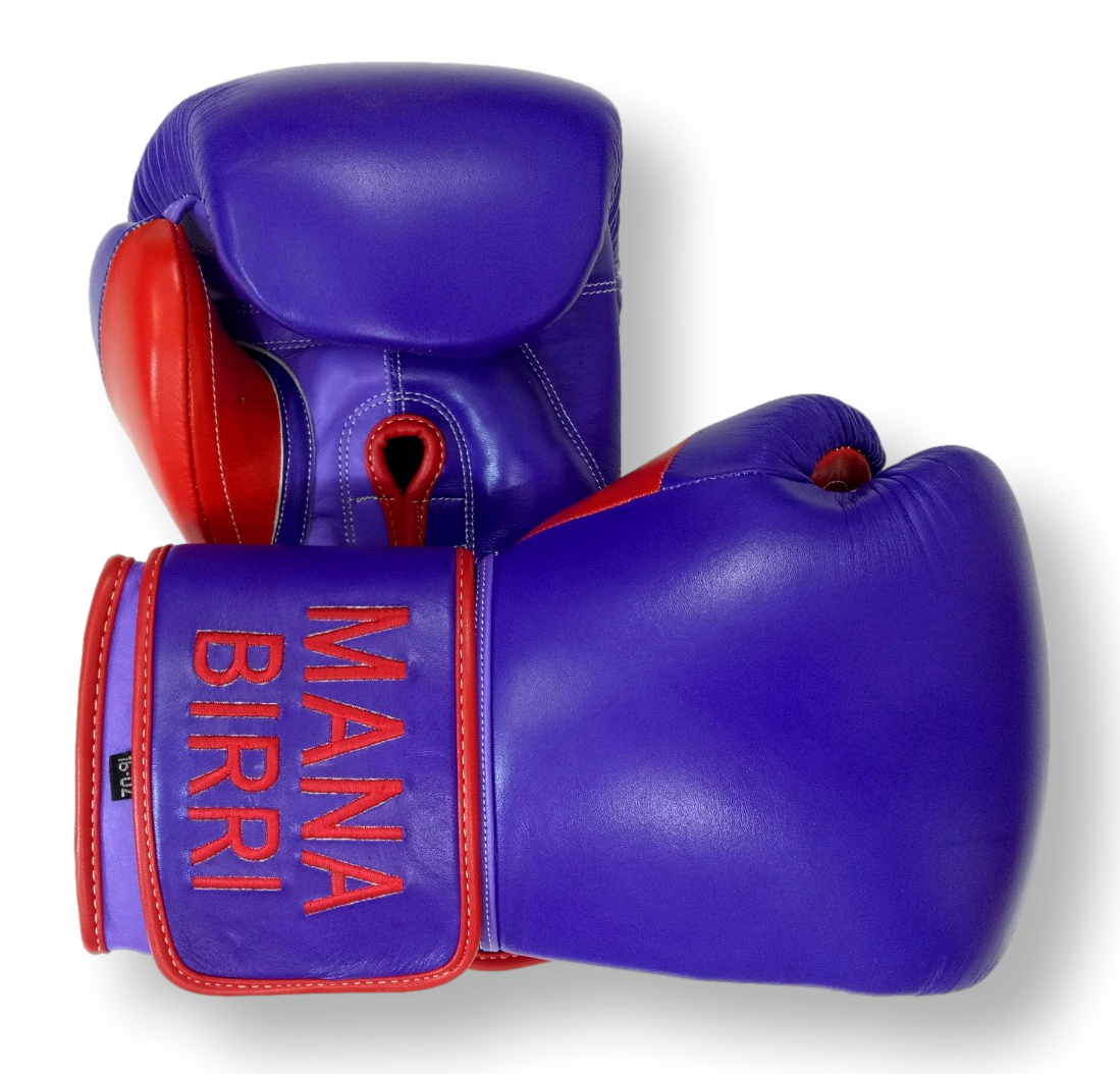 Gloves Classic Old Ashley Boxing Gloves