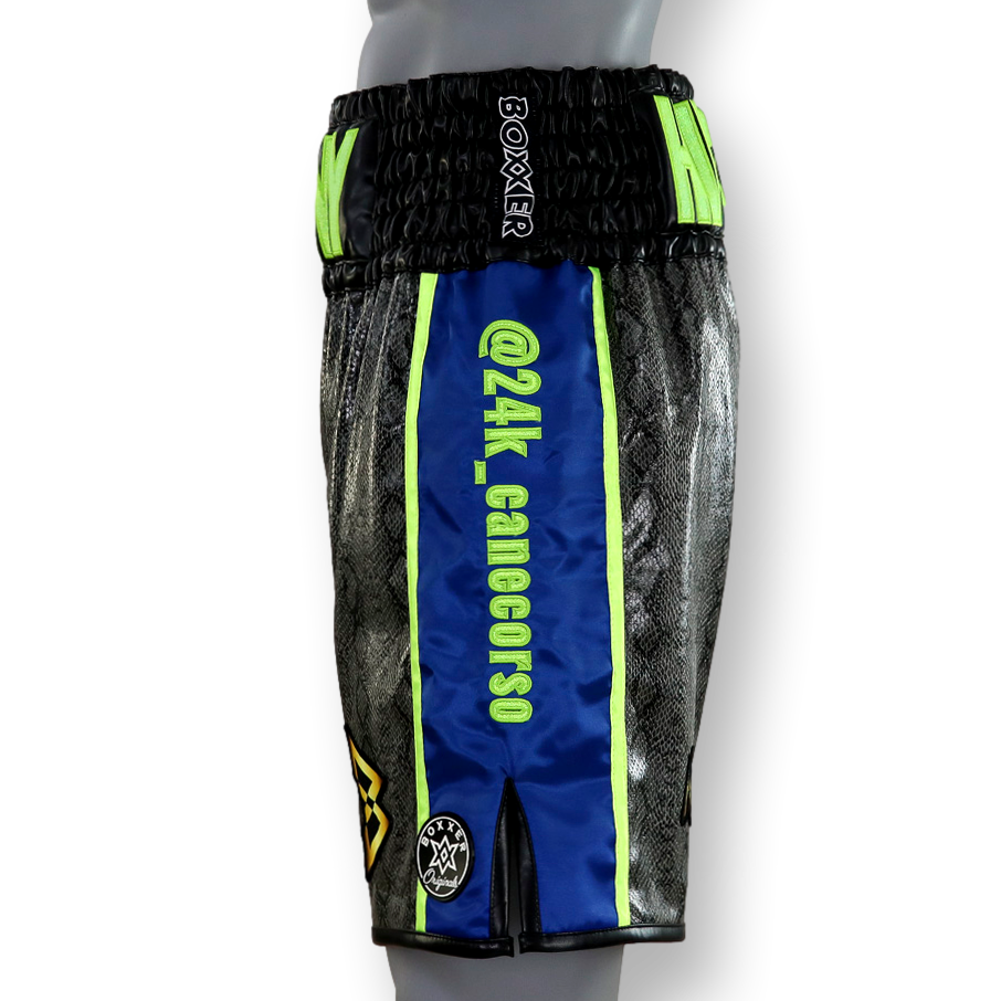 Side Stripe BX  Anita Custom Boxing Shorts & Trunks