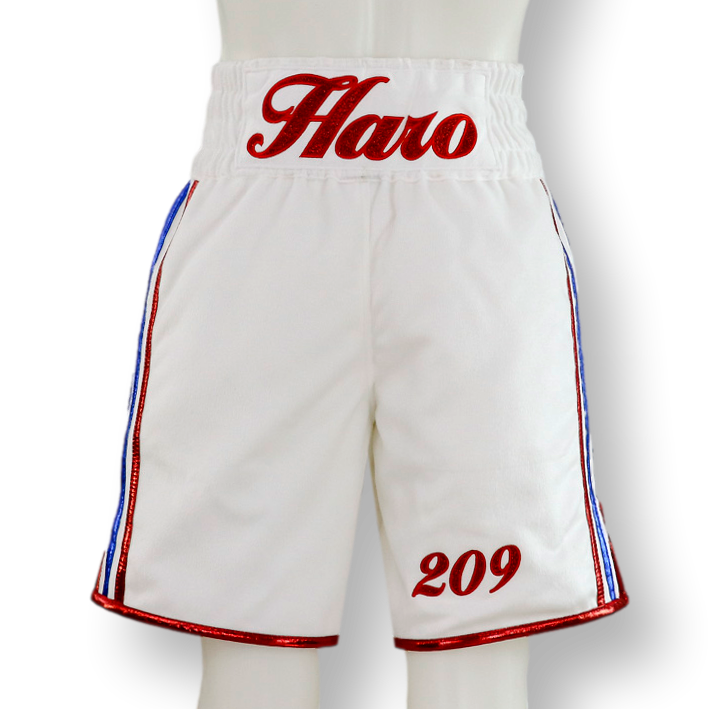 PIN STRIPE BX Jesus Custom Boxing Shorts & Trunks