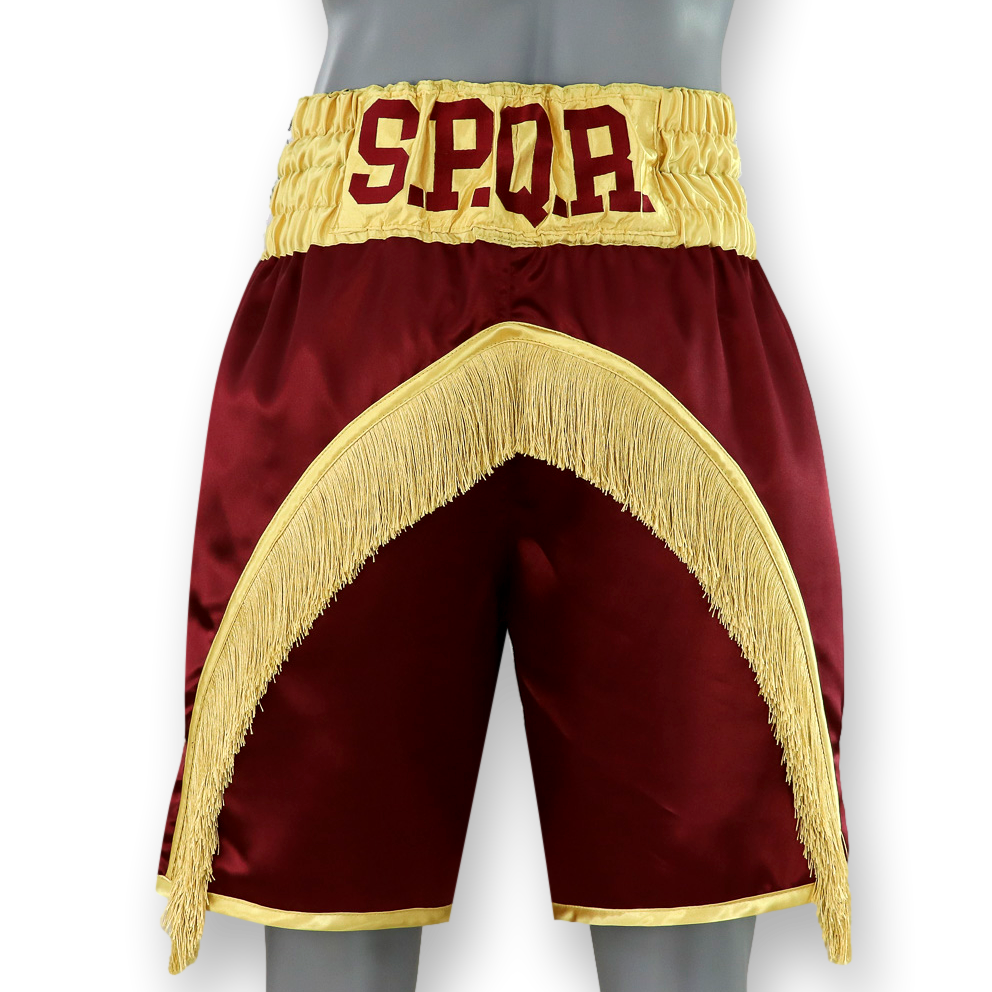 Floyd BX Mirko Custom Boxing Shorts & Trunks