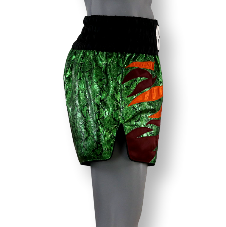 Roy Jones MTS Danise Muay Thai Shorts