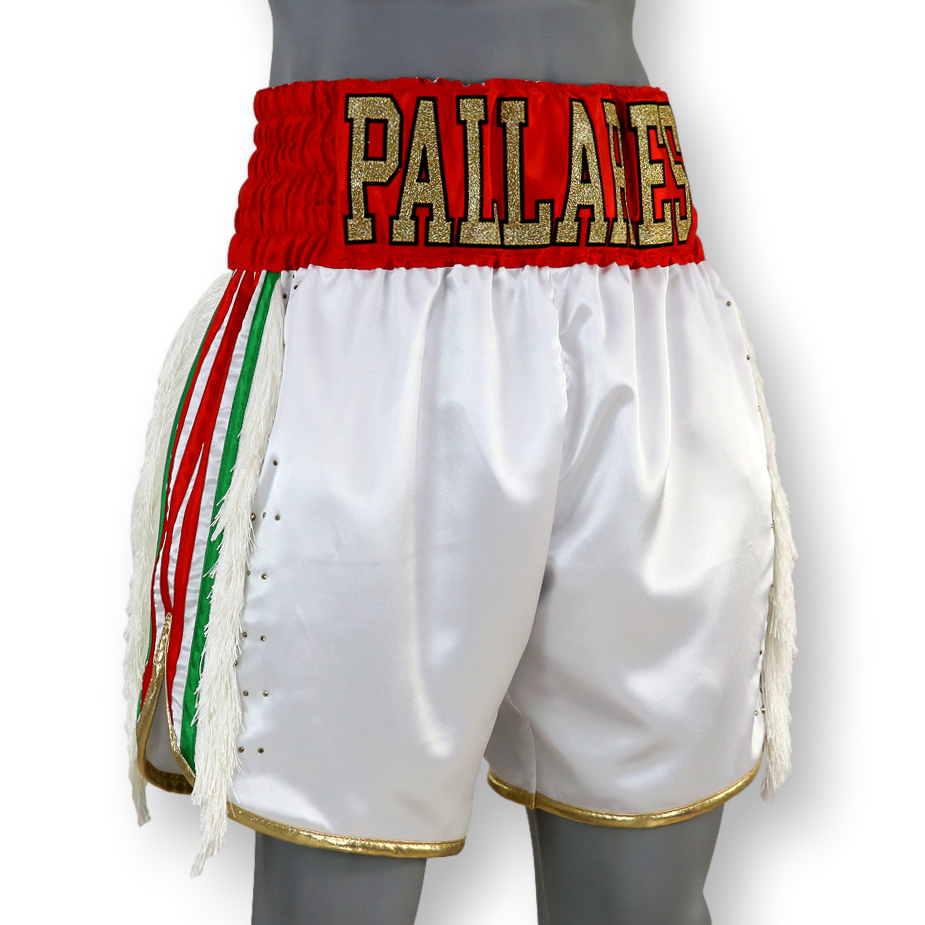 PIN STRIPE BX Lrvin Custom Boxing Shorts & Trunks