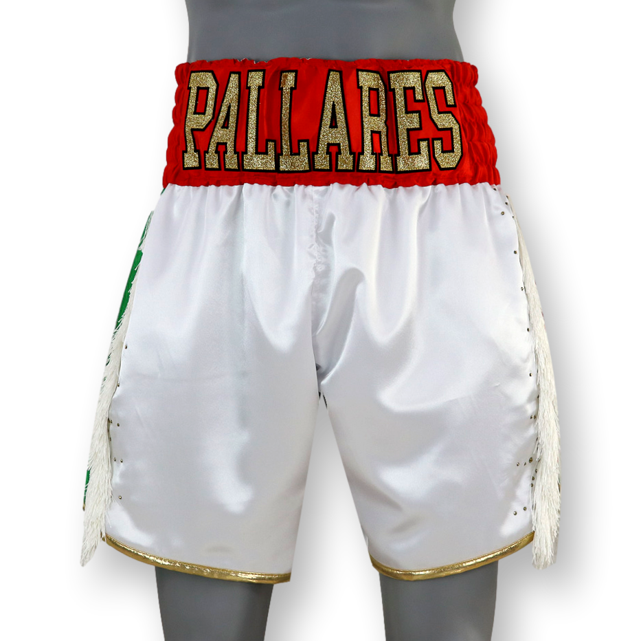 PIN STRIPE BX Lrvin Custom Boxing Shorts & Trunks