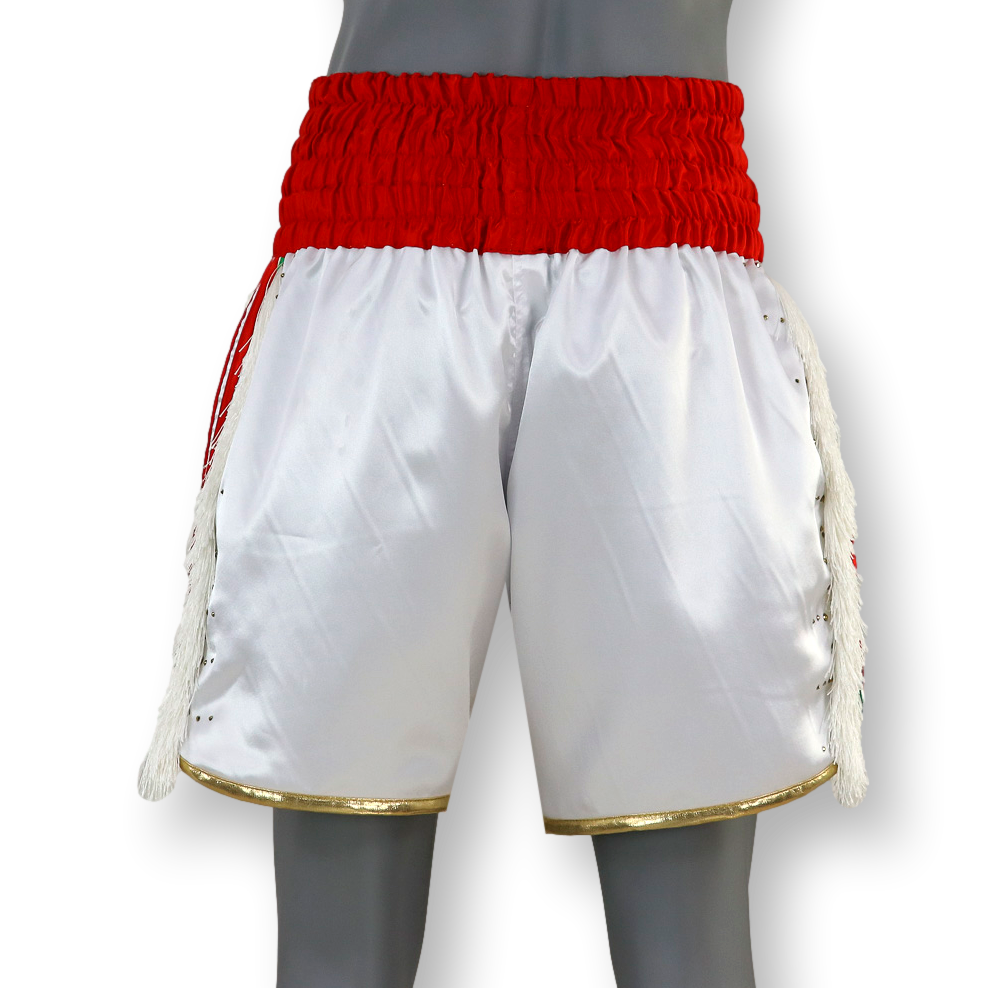PIN STRIPE BX Lrvin Custom Boxing Shorts & Trunks