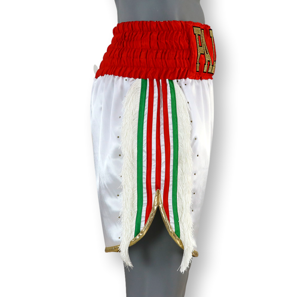 PIN STRIPE BX Lrvin Custom Boxing Shorts & Trunks