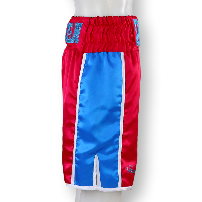 Side Stripe BX  Dan Custom Boxing Shorts & Trunks