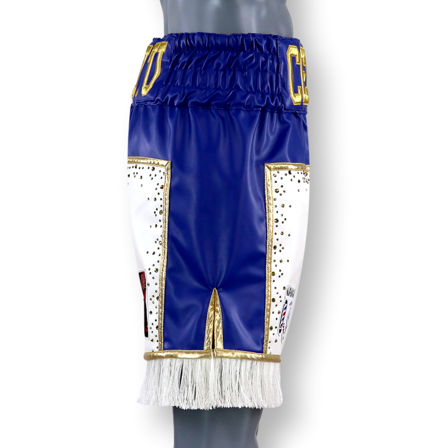 JOSHUA BX  Cesar Custom Boxing Shorts & Trunks