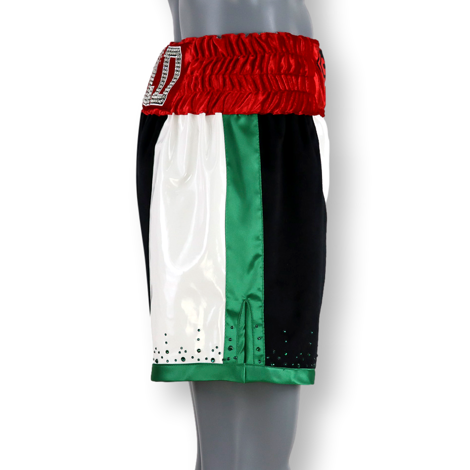 All Mayweather BX Siraj Custom Boxing Shorts & Trunks