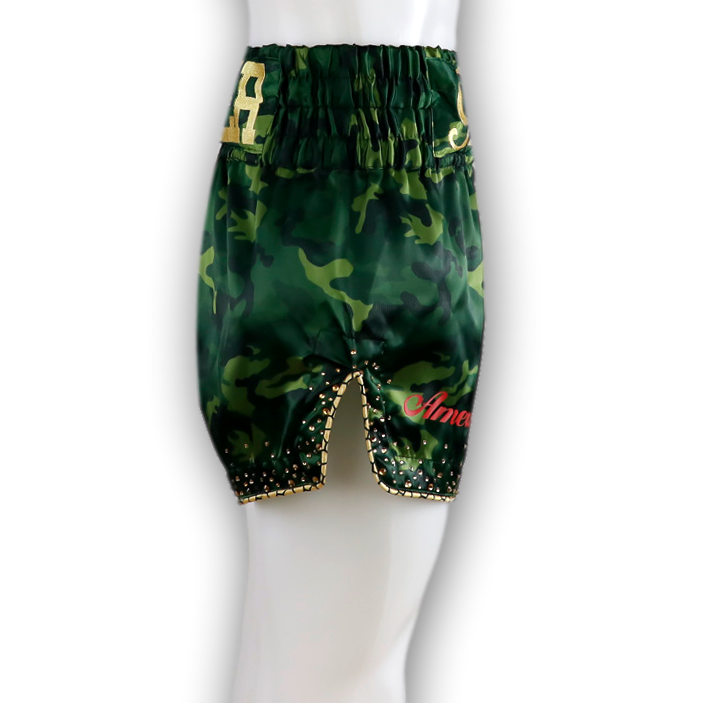 Classic MTS Duane  Muay Thai Shorts