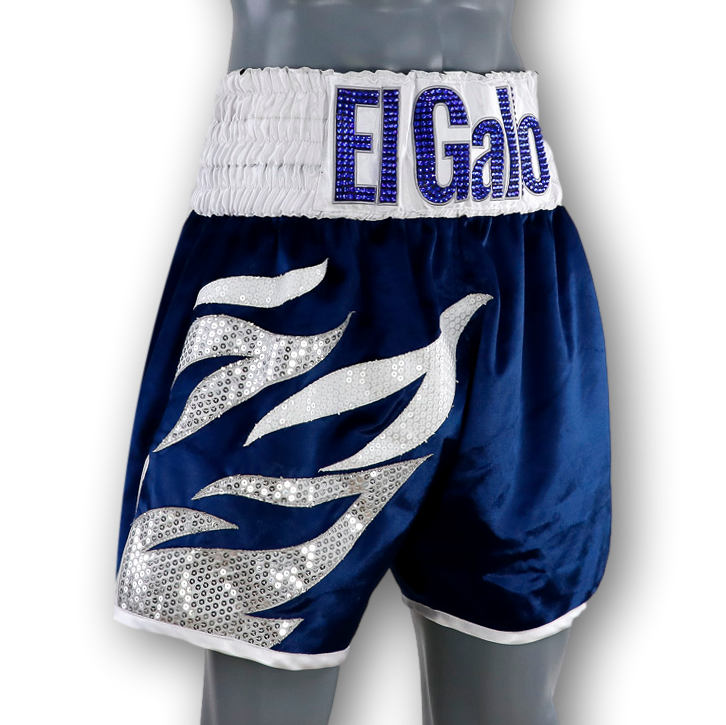 Roy Jones BX Old Vanessa Custom Boxing Shorts & Trunks