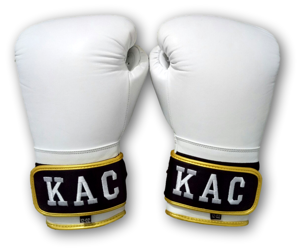 GLOVES EASY (2 colour)  Coy Boxing Gloves