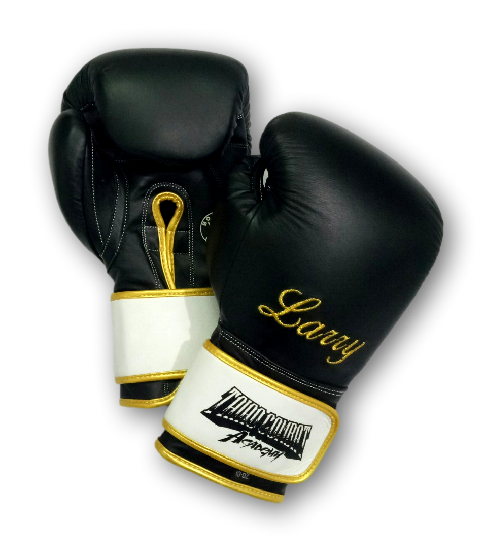 GLOVES EASY (2 colour)  Dayna Boxing Gloves