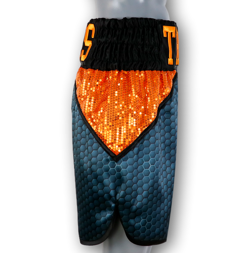 ZX BX Troy  Custom Boxing Shorts & Trunks