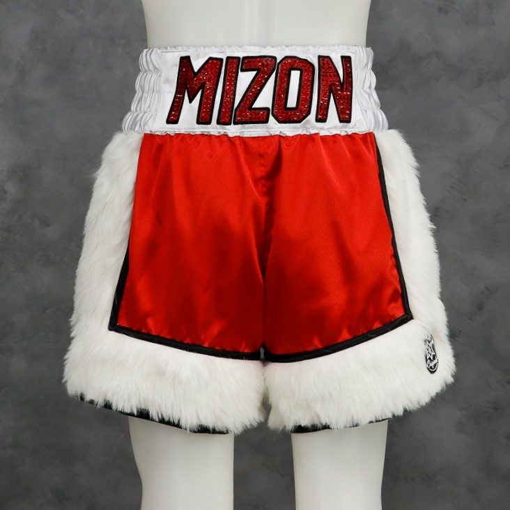 Side Stripe BX  Nathan Custom Boxing Shorts & Trunks