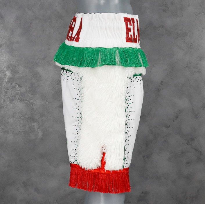 JOSHUA BX  Mario Custom Boxing Shorts & Trunks