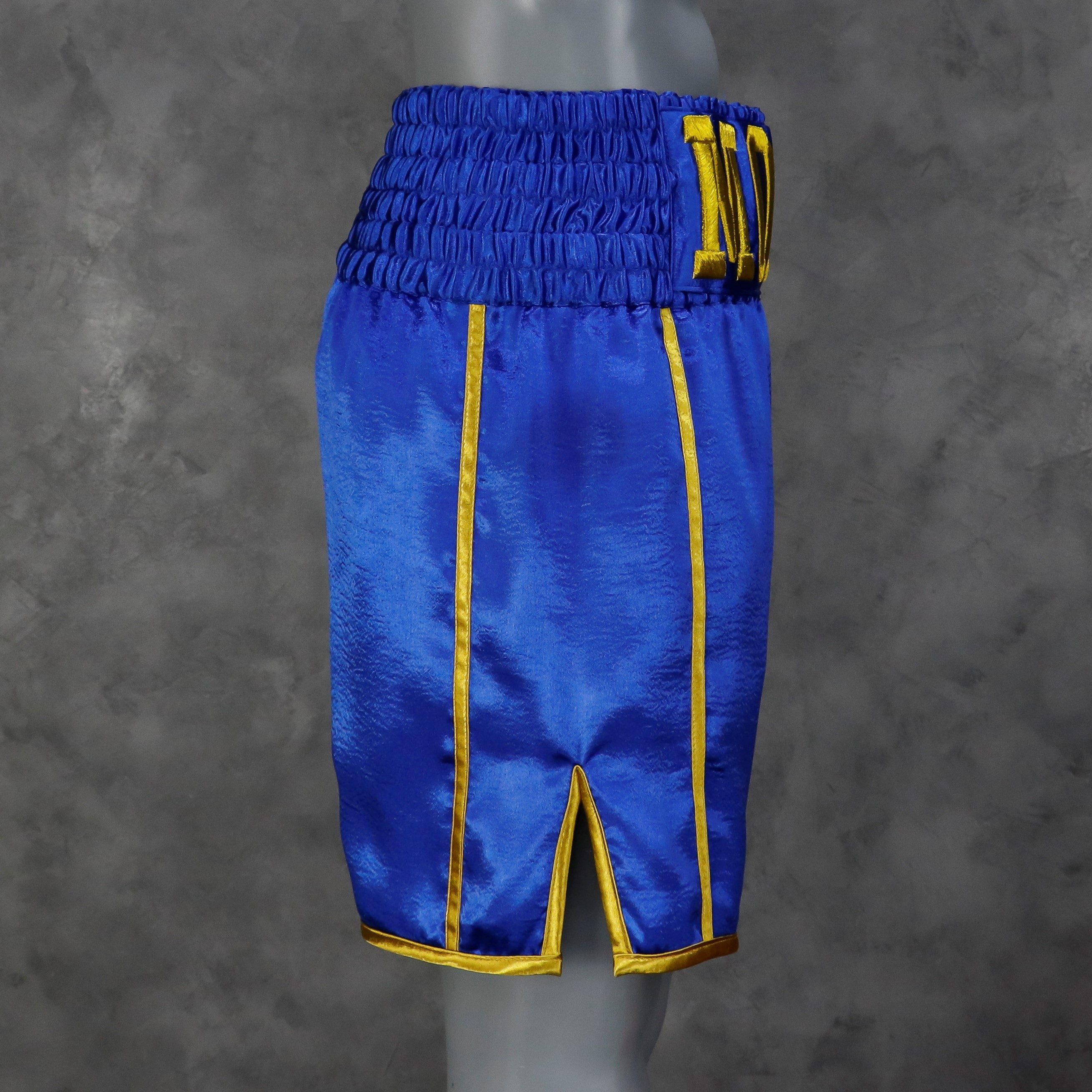 Side Stripe BX  Ste Custom Boxing Shorts & Trunks