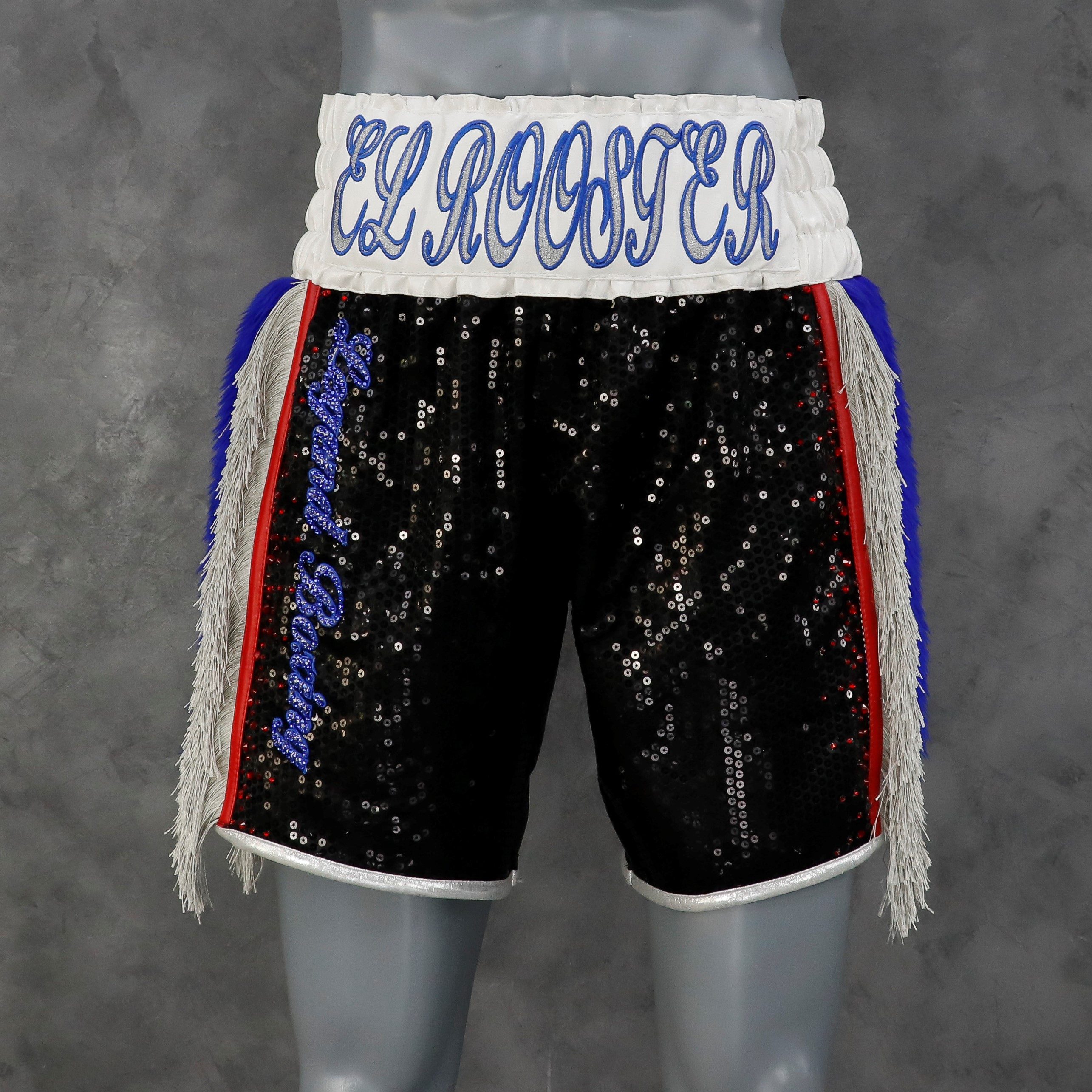 Side Stripe BX  Nadia Custom Boxing Shorts & Trunks