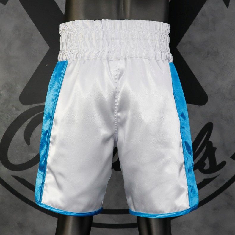 Side Stripe BX  Shane Custom Boxing Shorts & Trunks