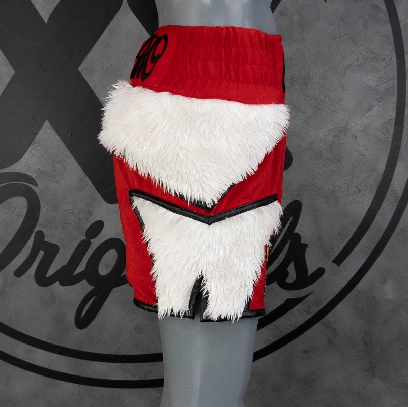 Special BX  Cesar Custom Boxing Shorts & Trunks