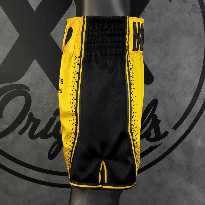 PHOENIX BX Lewis Custom Boxing Shorts & Trunks