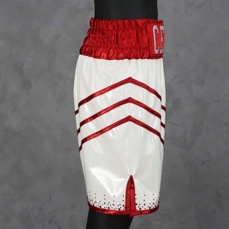 Rebel BX Al Custom Boxing Shorts & Trunks