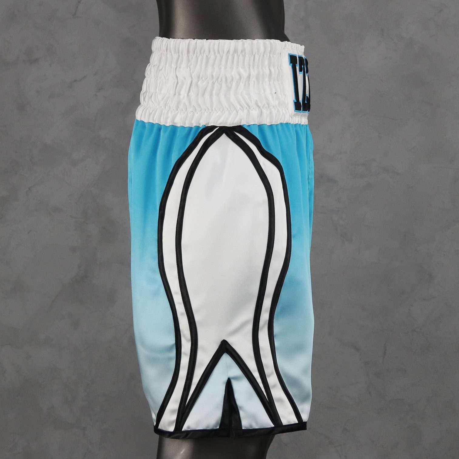 DESTROYER BX Isaac Custom Boxing Shorts & Trunks