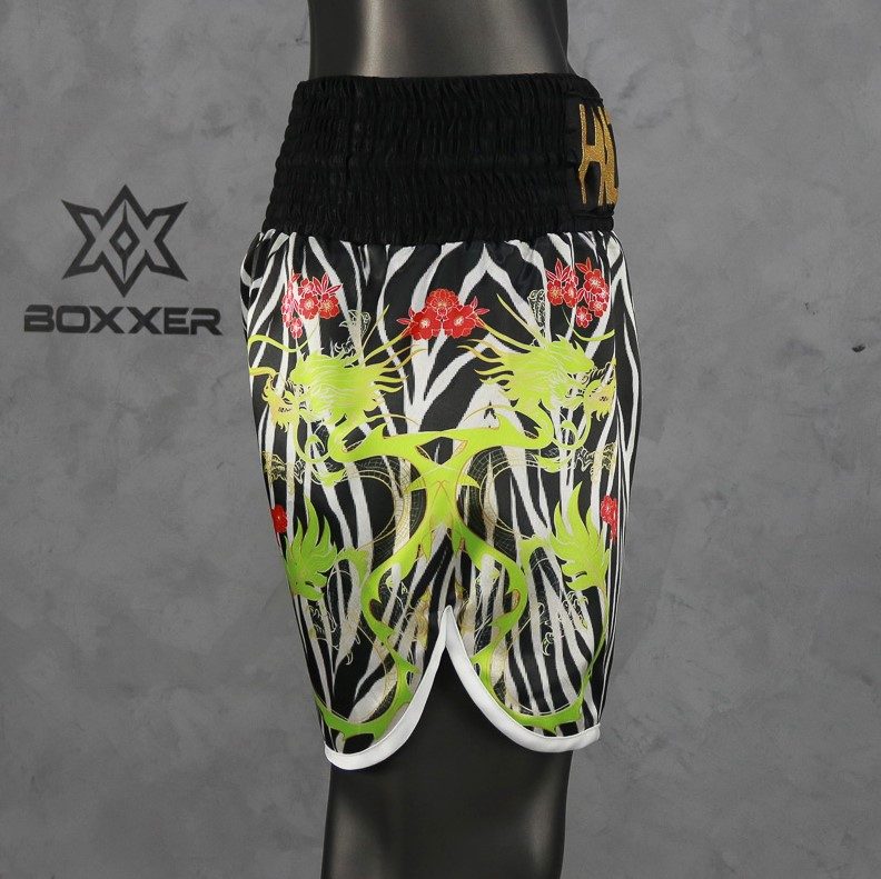 DRAGON BX Matthieu Custom Boxing Shorts & Trunks