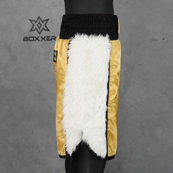 Side Stripe BX  Javiontis Custom Boxing Shorts & Trunks