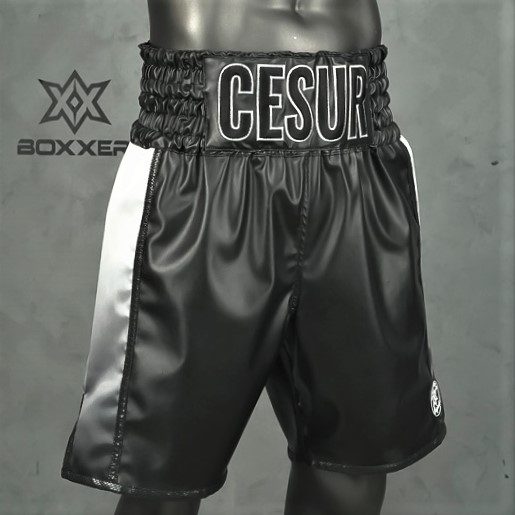 Side Stripe BX  Cesur Custom Boxing Shorts & Trunks