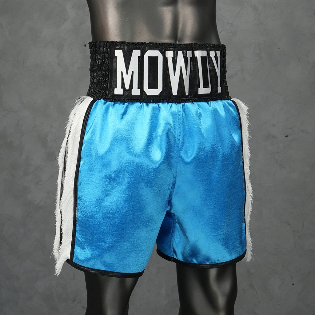 Side Stripe BX  Fernando Custom Boxing Shorts & Trunks