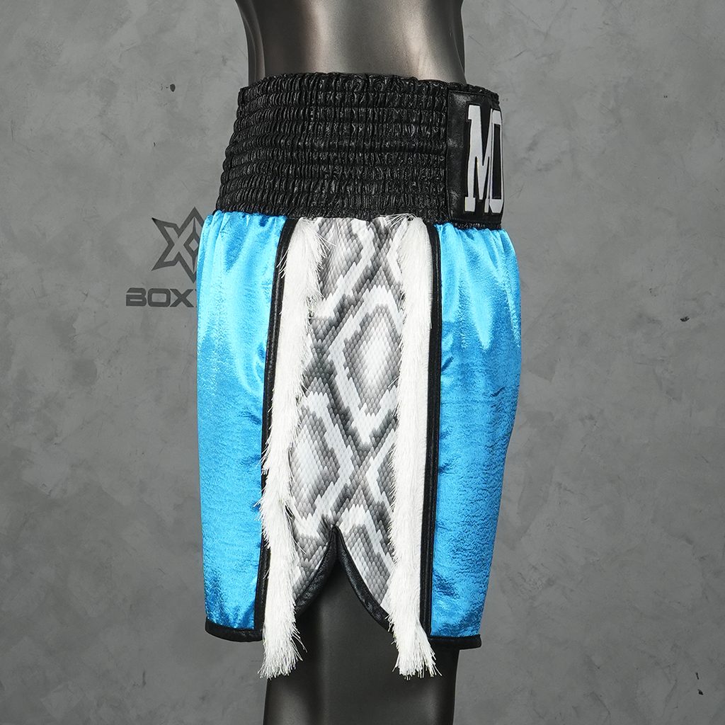 Side Stripe BX  Fernando Custom Boxing Shorts & Trunks