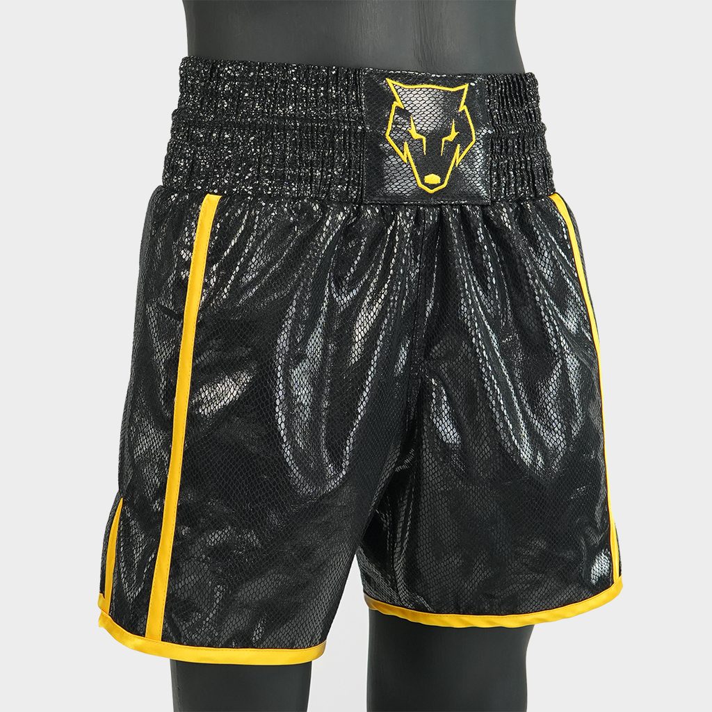 Side Stripe BX  Tony Custom Boxing Shorts & Trunks