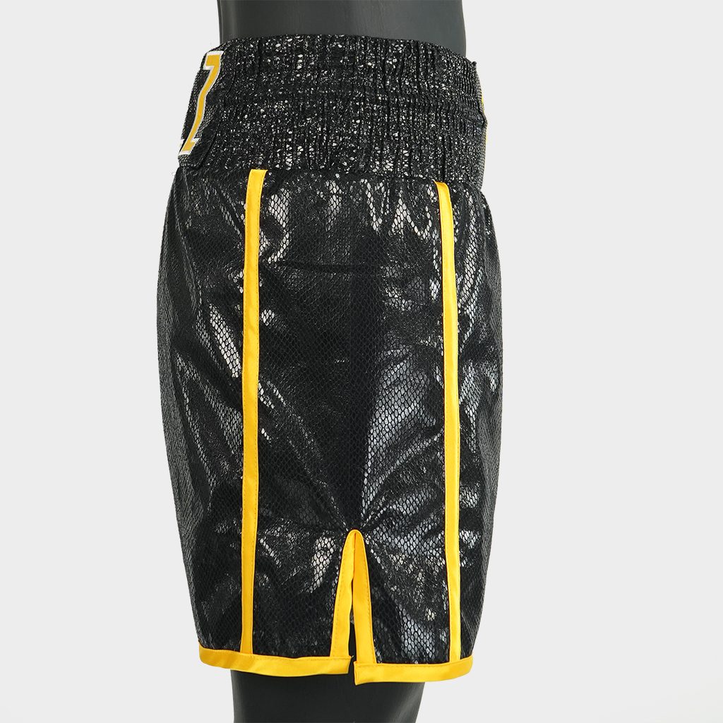 Side Stripe BX  Tony Custom Boxing Shorts & Trunks