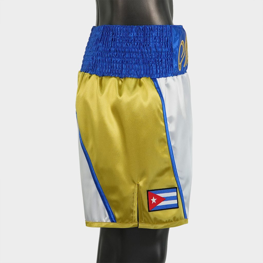 Floyd BX Lazaro Custom Boxing Shorts & Trunks