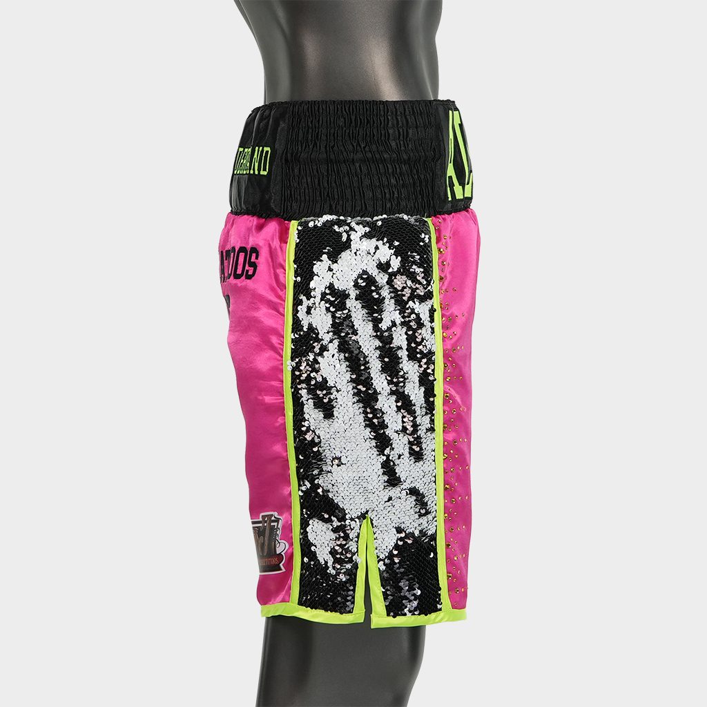 Side Stripe BX  Tyler Custom Boxing Shorts & Trunks