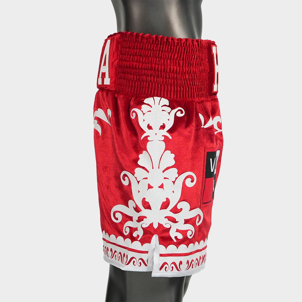 GGG BX (Boxxerworld Elite) Hector Custom Boxing Shorts & Trunks