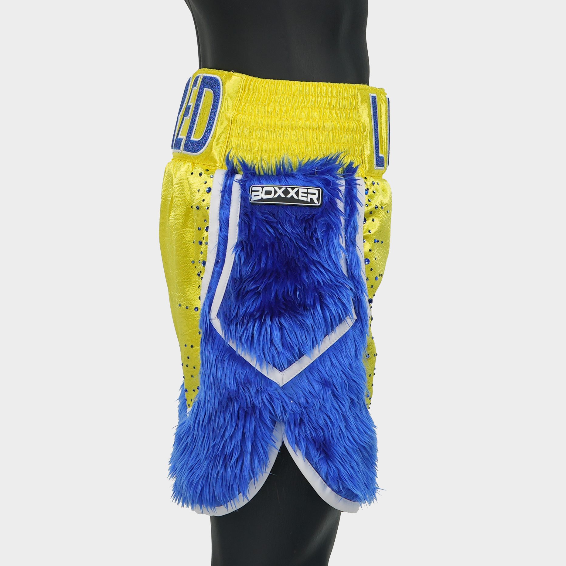 Fury BX  Leroy Custom Boxing Shorts & Trunks