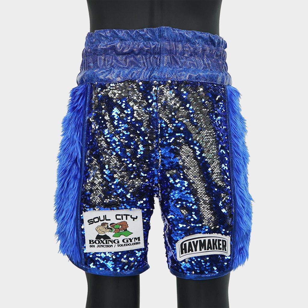 Side Stripe BX  Sohaela Custom Boxing Shorts & Trunks