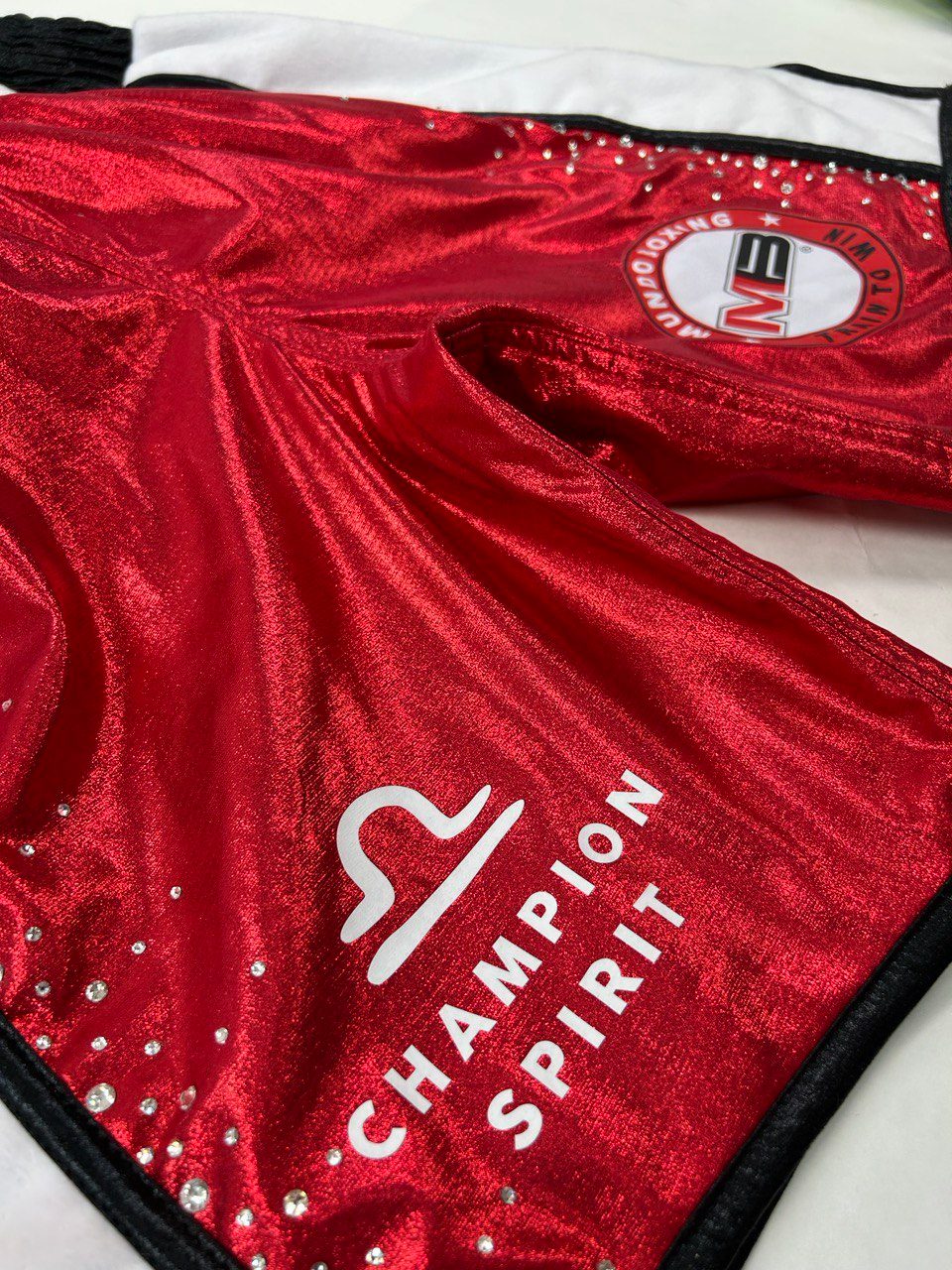 Side Stripe BX  Anthony Custom Equipment