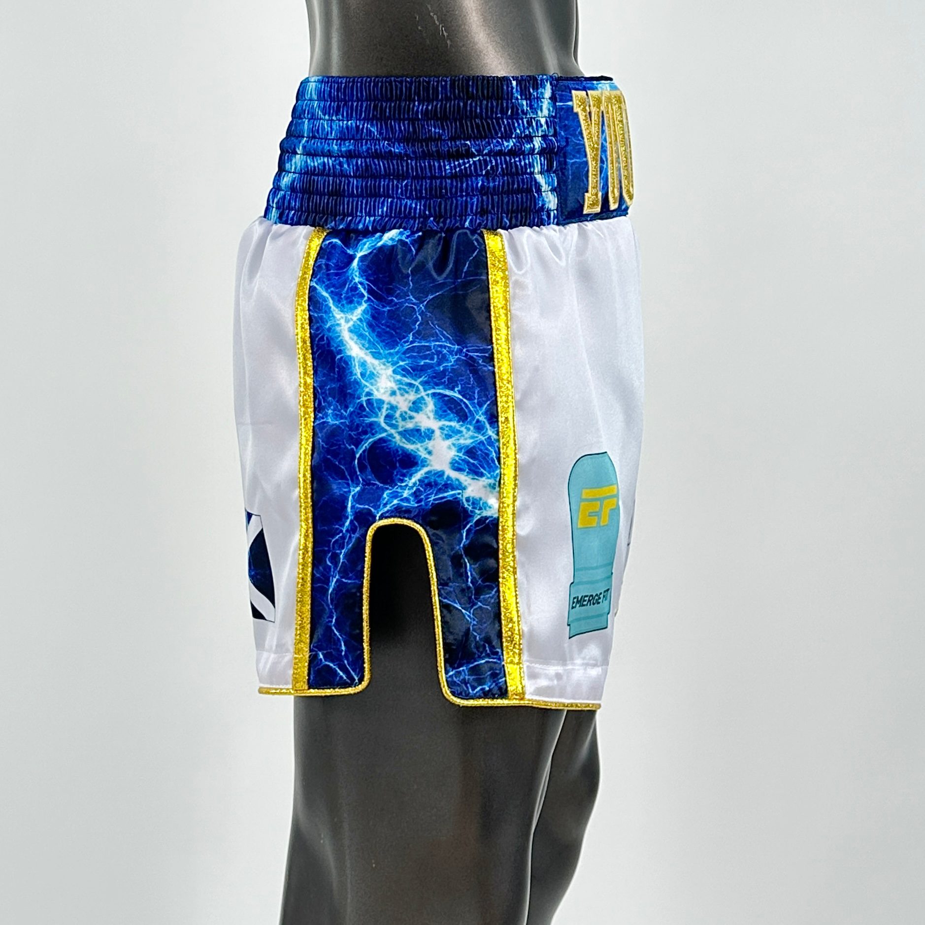 Side Stripe MTS David Muay Thai Shorts