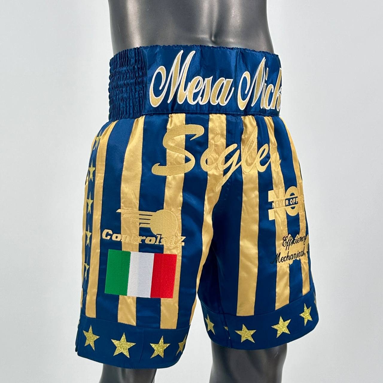 CREED BX (Boxxerworld Elite) Micky  Custom Boxing Shorts & Trunks