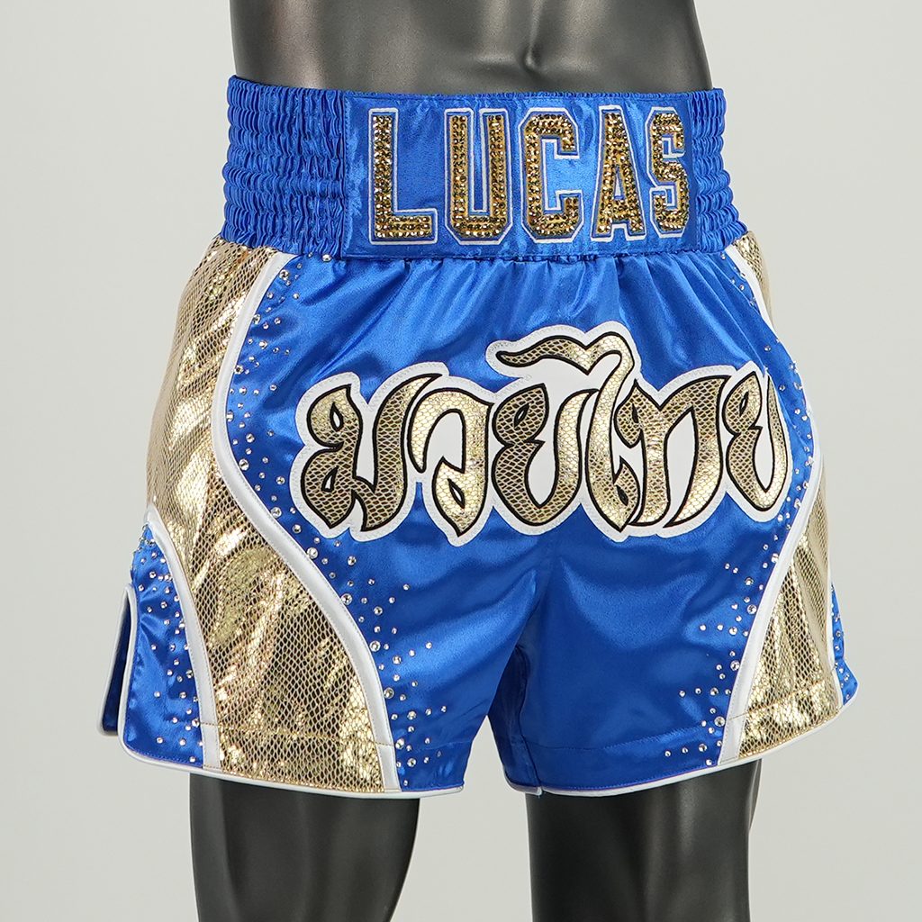 DREAM MTS lucas Muay Thai Shorts