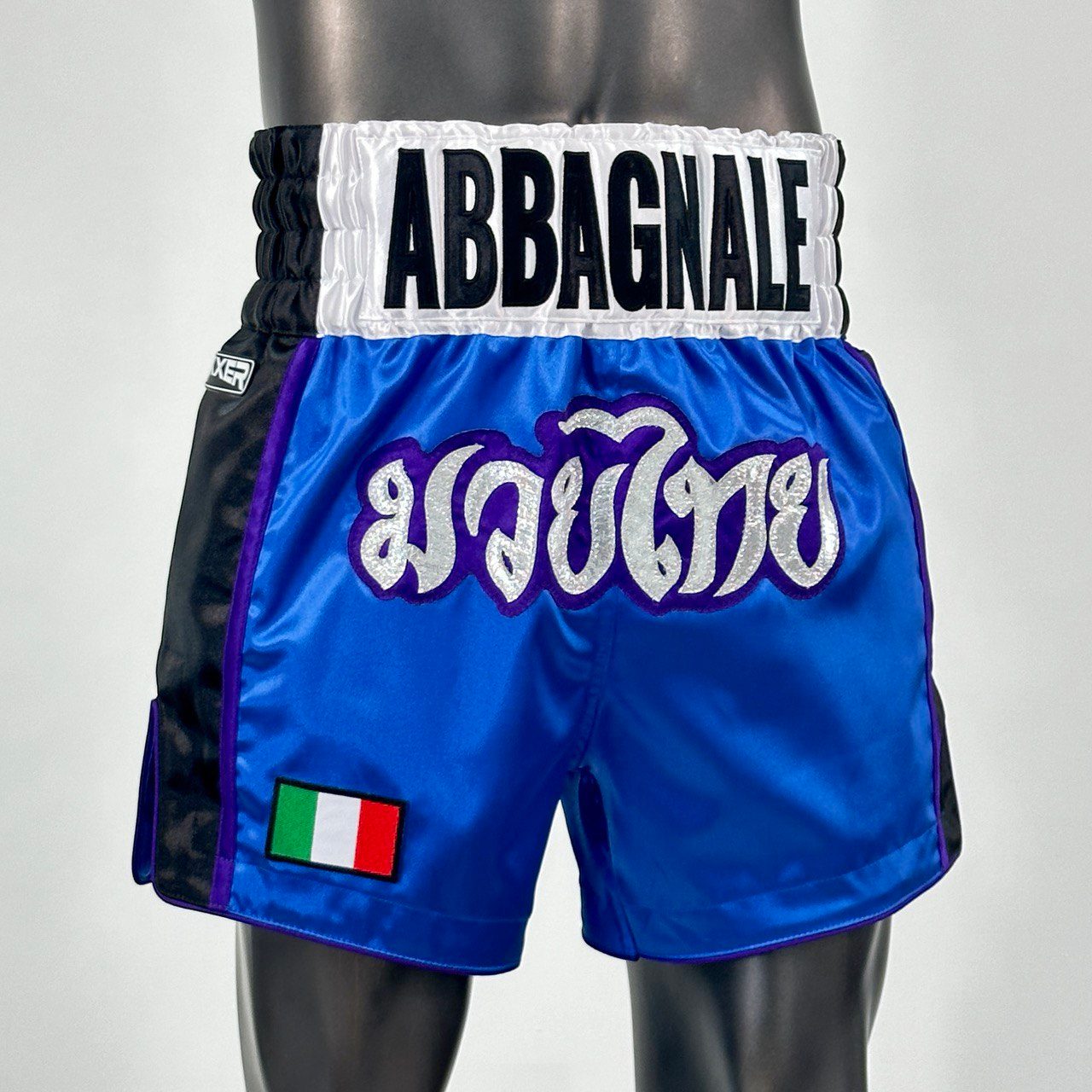 Side Stripe MTS Roberto  Muay Thai Shorts