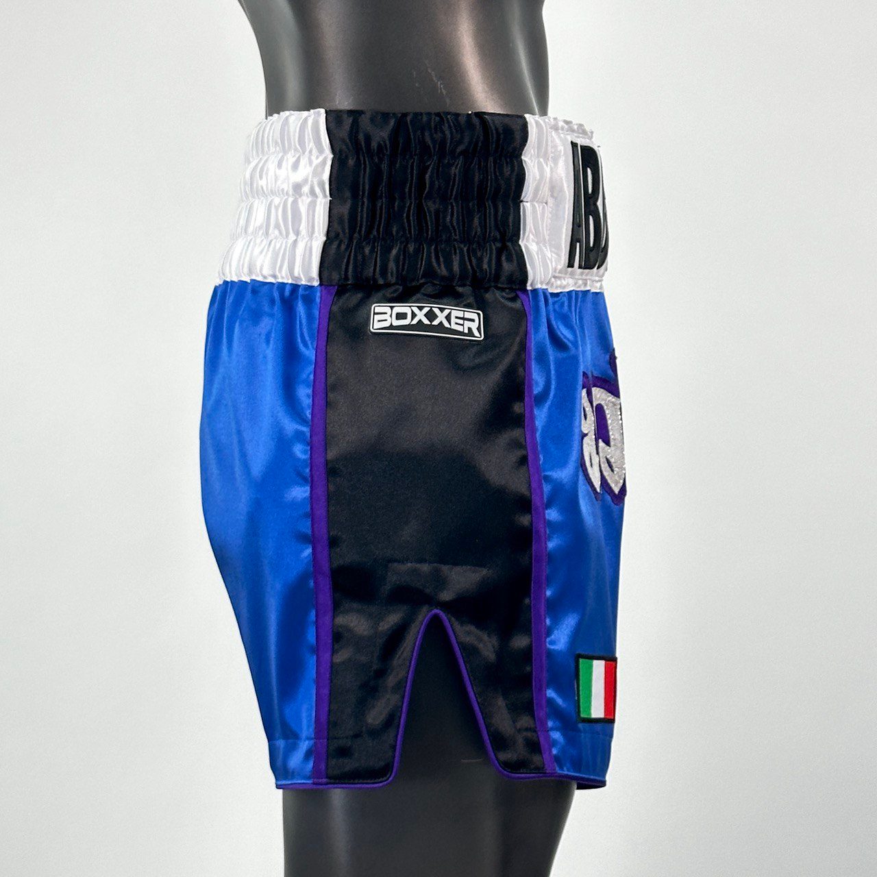 Side Stripe MTS Roberto  Muay Thai Shorts