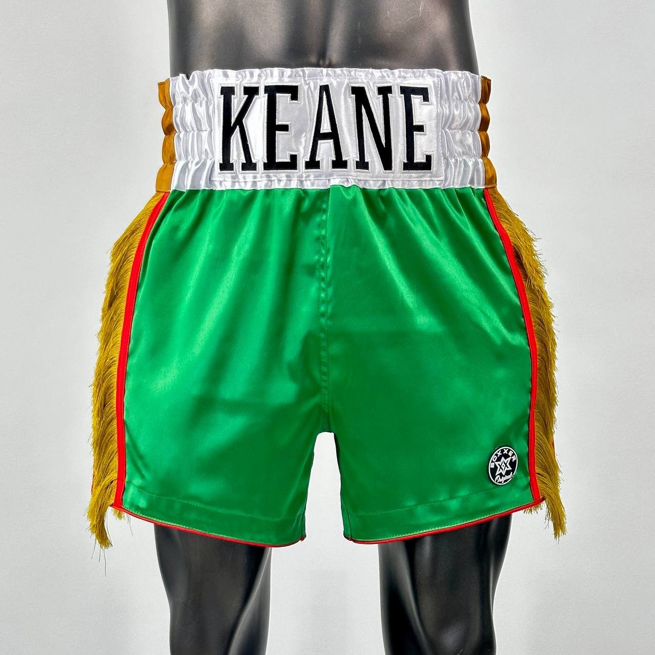 Side Stripe MTS Roberto  Muay Thai Shorts