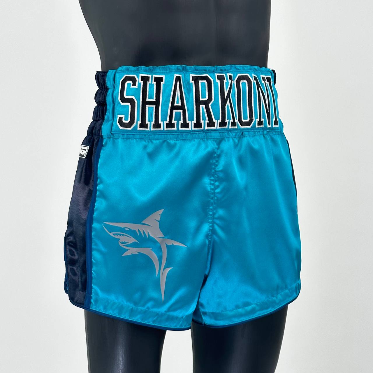 Side Stripe MTS Old Mike  Muay Thai Shorts