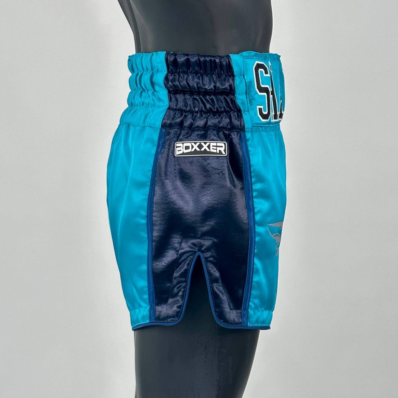 Side Stripe MTS Mike  Muay Thai Shorts